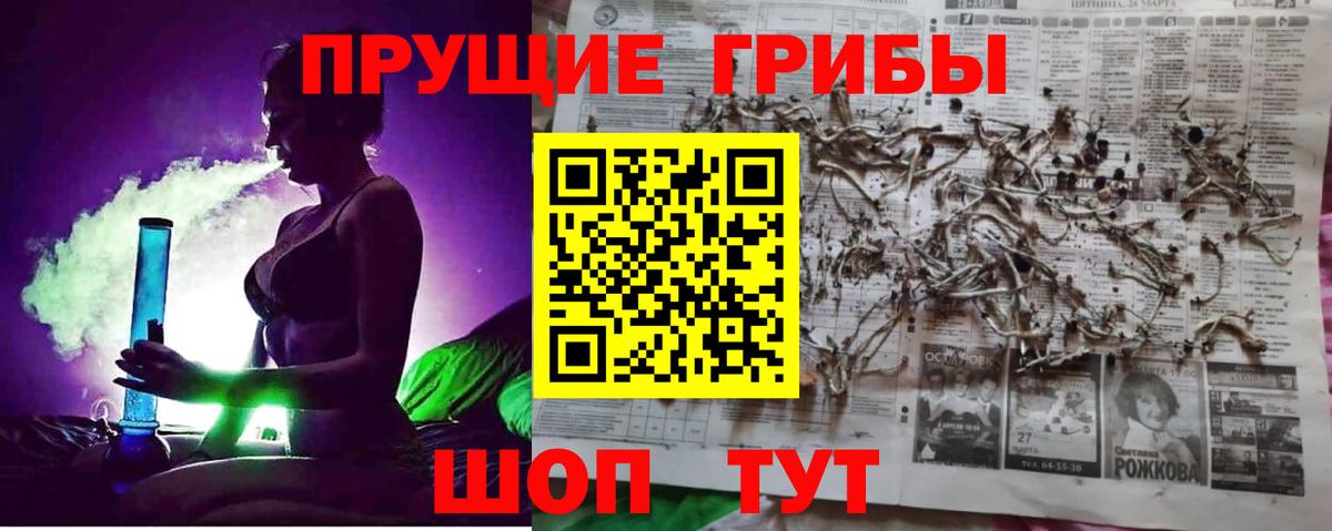 Псилоцибиновые грибы Psilocybe Спасск-Дальний